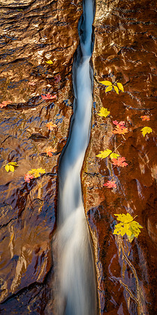 DSC01527 2x1 Vertical