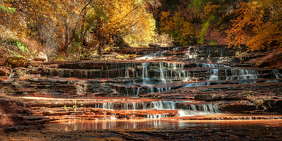 DSC01530 1x2 Crop