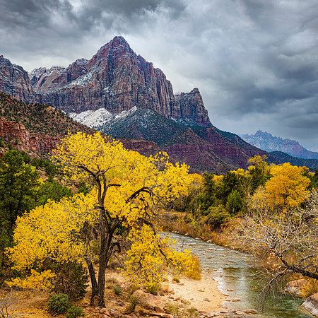 _DSC2745-1x1 Crop