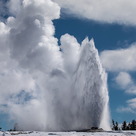 Old Faithful