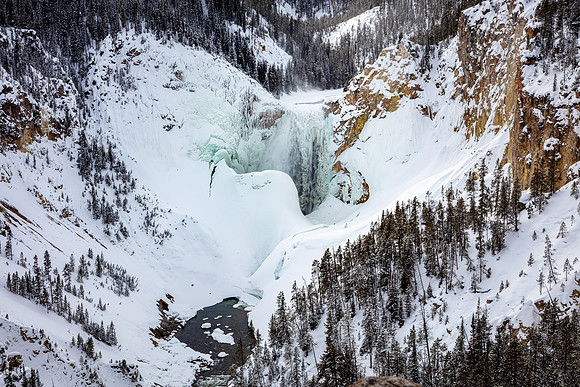 Yellowstone Falls