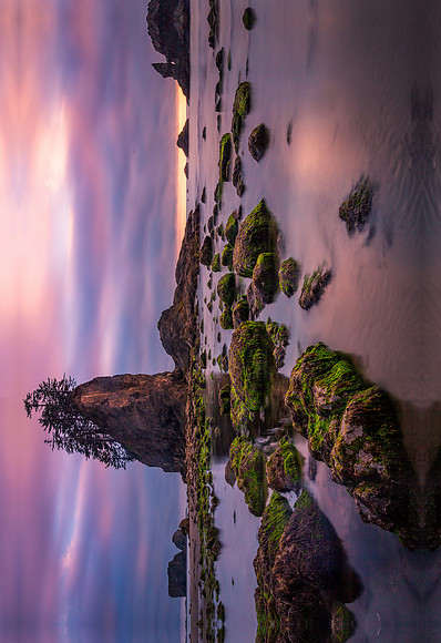 Second Beach, Olympic Peninsula - 32x48 Canvas