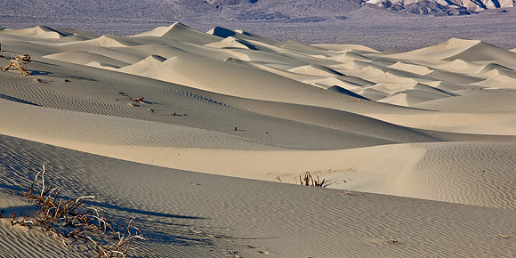 Late afternoon Sand