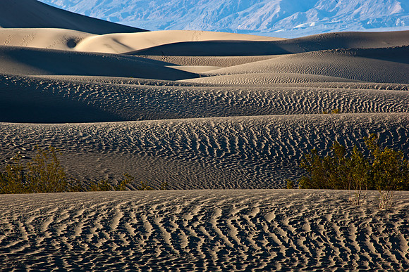 Sand Dunes at the end of day.