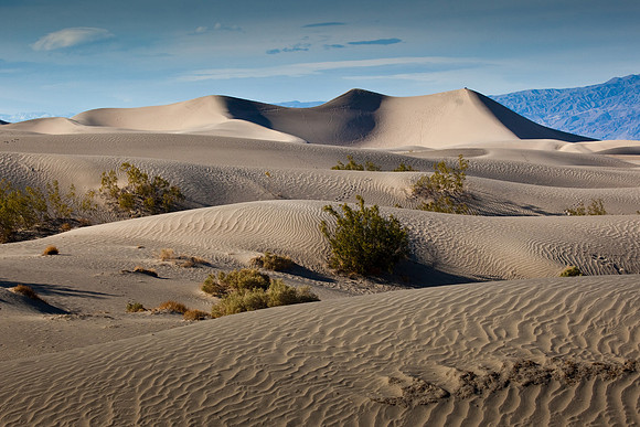 Big Dune at Death Valley